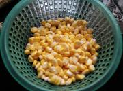 �������������D�Ĳ��E