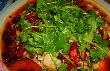 ˮ���~(y��)Ƭ������