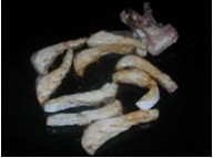 �ҳ��~��F�����������D�Ĳ��E