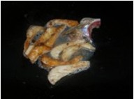 �ҳ��~��F�����������D�Ĳ��E