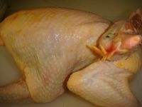 �ҳ��ה��u�������D�Ĳ��E