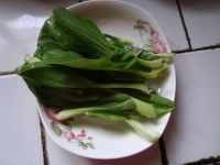 �㹽�ۗl�������������D�Ĳ��E