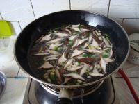 �㹽�ۗl�������������D�Ĳ��E