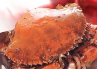 �j��з������