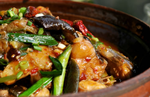 ���ӠF�T�~������