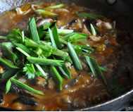 ���ӠF�T�~�������D�Ĳ��E