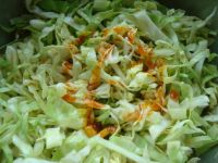 ��������˵������D�Ĳ��E