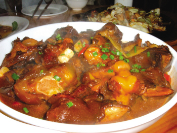 �ҳ�����t��ţ��������D�Ĳ��E