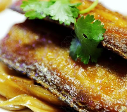 ��������~�������D�Ĳ��E