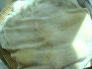 ��������������D�Ĳ��E