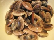 ���⻨�׵������D�Ĳ��E