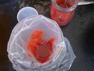 ����â�������������D�Ĳ��E