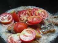 �����~�������D�Ĳ��E