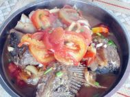 �����~�������D�Ĳ��E