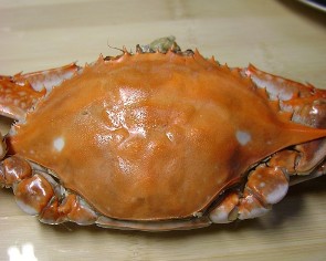 ���з�������D�Ĳ��E