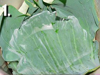 ���~����������D�Ĳ��E