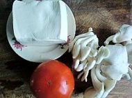 �������D�Ĳ��E