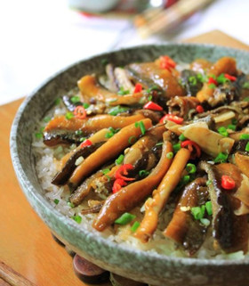 ˽���S�X�����