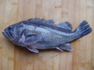 �������^�~�������D�Ĳ��E