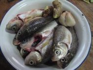 ��ζ���~�������D�Ĳ��E