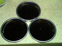 �J���Ҿ����ҵ���������D�Ĳ��E