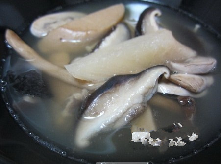 �L�۲��Ϝ��ҳ�������