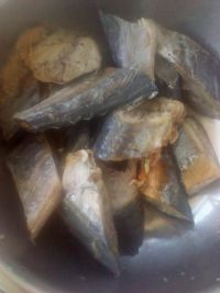 �t�����~�������D�Ĳ��E