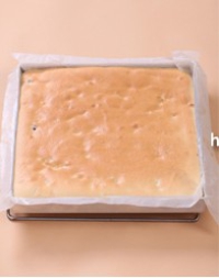 �t��������������D�Ĳ��E