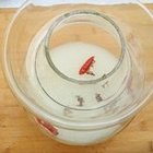 �����}���������D�Ĳ��E