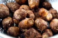 ���^�����������D�Ĳ��E