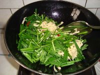 �²˟�ǧ���������D�Ĳ��E