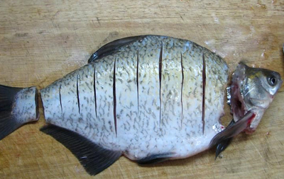 �����������~(y��)�������D�Ĳ��E