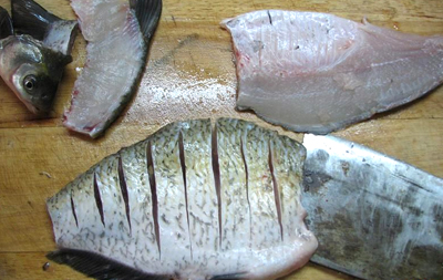 �����������~(y��)�������D�Ĳ��E