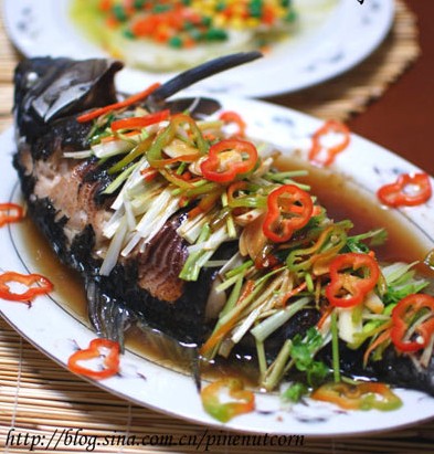 �͝����~������