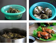 �����������lз�������D�Ĳ��E