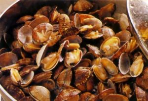 �ձ�����-���U������������D�Ĳ��E