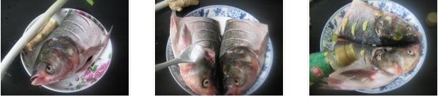 �������~�^�������D�Ĳ��E