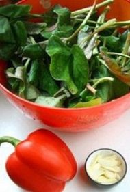 �����~(y��)�Ȳݵ������D�Ĳ��E