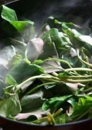 �����~(y��)�Ȳݵ������D�Ĳ��E