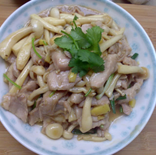 ���񹽳���Ƭ������