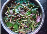 �����~�Ȳݵ������D�Ĳ��E