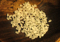 �ձ�����-��˾������D�Ĳ��E