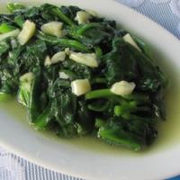 ����ľ���˵�����