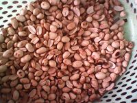 ���A�������D�Ĳ��E