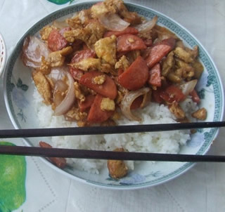 ���c�u���w�������