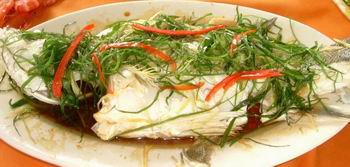 �ջ��|�~������