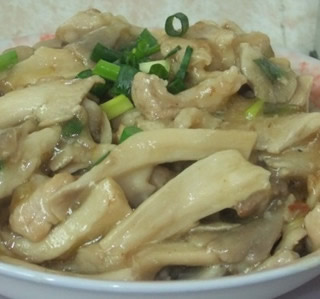 �׹���Ƭ������