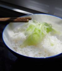 ���������