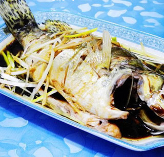 �����Z�~������