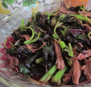 ���{�˵�����